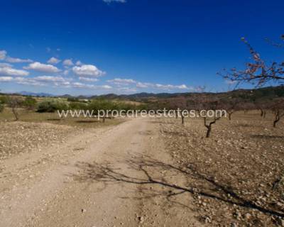 Land - Verkauf - Murcia - Murcia