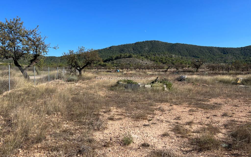 Resale - Land - Hondon de las Nieves
